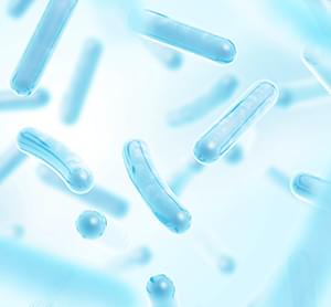 SL11 Probiotic Blend.